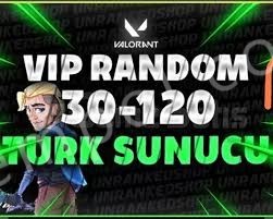 30-120 Skin Arası Valorant Random Hesap