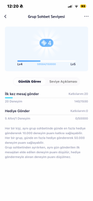 4 seviye grup