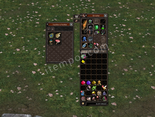 6.4 M metin hasarlı 99 lvl savaşçı