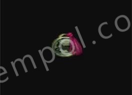 AT MADALYONU SINIRSIZ SATILIR ADET İSTE UYGUNDAN