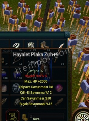 Hayalet plaka +9
