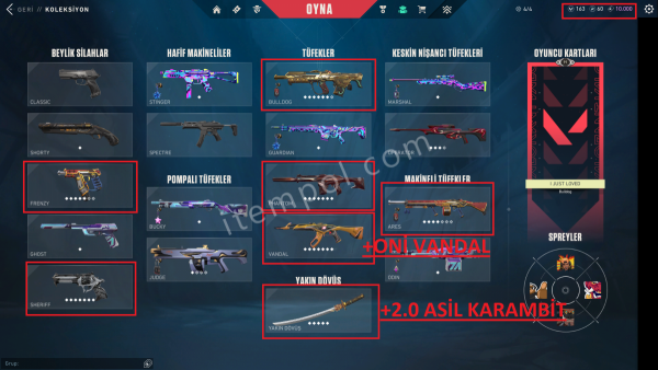 sevilen 9 adet skin elmas 1 hesap